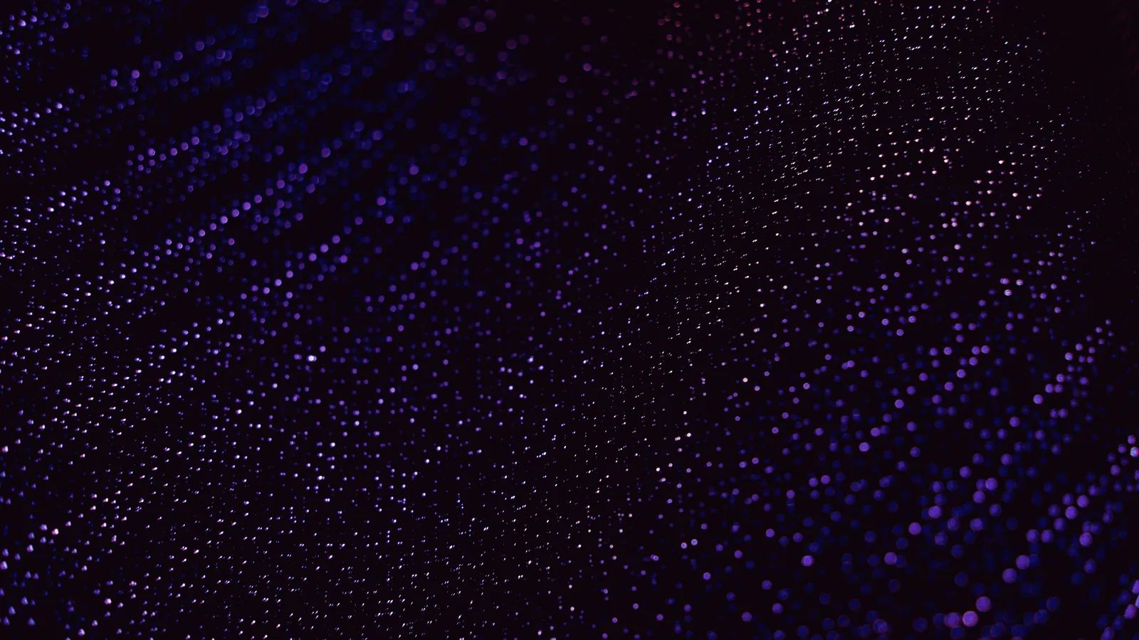 A dark field of small points of light, close.