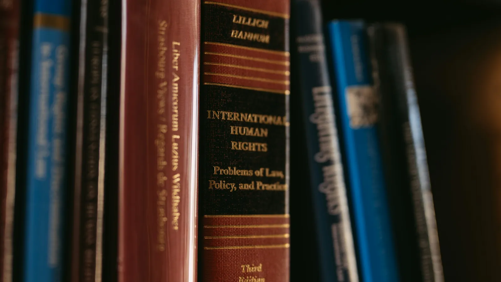 Legal volumes upright on a shelf, their spines lettered.